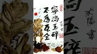 中國俗語詩752025 12 29 #上海浦东 #诗画中国 #中国文化 #书法家 #涂鸦