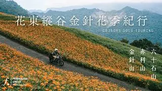 一氣通貫！東部三座金針花山踏破二日旅｜CB350RS｜金針山｜六十石山｜赤科山
