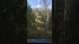 300. Remington ultra mag deer kill