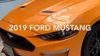 2019 Ford Mustang walk around