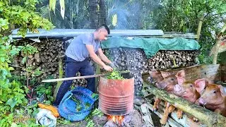 Pig farming - Cooking giant pot of food for pigs | Long Ca Farm