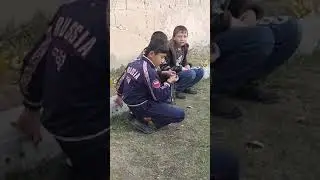АМИНЧОН