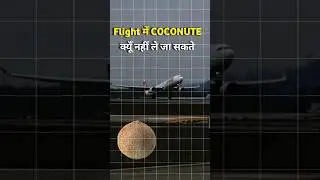 Flight में Dry Coconute ले जाने से क्यूँ मना किया जाता है? #shortvideo #viral #youtubeshorts #shorts