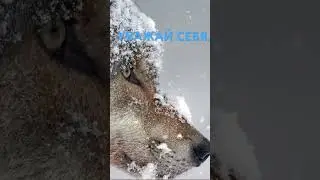 Запомни!Подпишись.Всем добра!