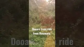 dooars ride by train #experiencebengal
