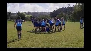 Marist bluebellies