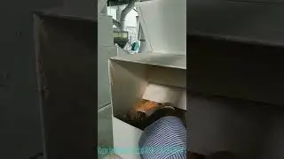 60tons/day corn grits mill plant,maize semolina and flour mill machine