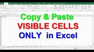 Copy & Paste VISIBLE CELLS ONLY  in Excel