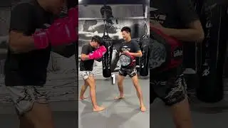 Just another day of our champs eating body shots&hellip; casually. 👀 #Shorts