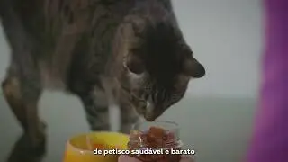 Petisco Natural de Peito de Frango para pet