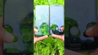 #oppo f19 Pro plus vs #motorola g6 camera review natural camera phone 2024
