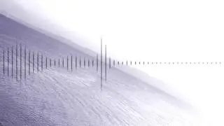 Euchaeta - Sleep Whenever You Want to
