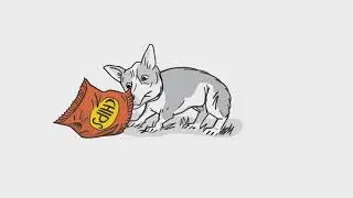 Pet Health & Safety Tips: Suffocation Risks