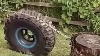 Pulling a tree stump out using a tire.