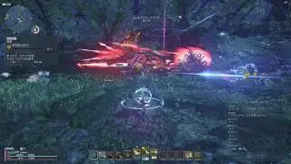 [Xbox Series X] PSO2NGS test