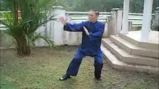 Wahnam Madrid Tai Chi Chuan  -Wudang Taijiquan Set- Gran Maestro Wong Kiew Kit