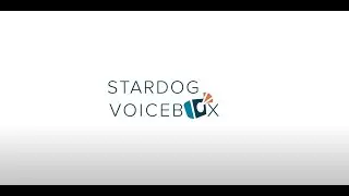 Stardog Voicebox Customer 360 Use Case Demo