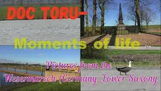Die Wesermarsch Traumhafter Urlaub - Entspannende Ansichten & Musik: Ochtum, Storchenstation u.v.m.