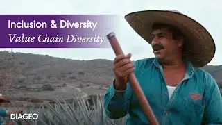 Promoting Supplier Diversity | Diageo