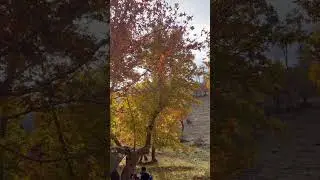 The Beauty of Bradost Region . #music #song #love #soul #nature #erbil #iraq