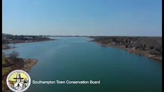 Town of Southampton Conservation Board 1/28/26