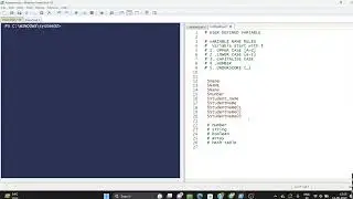 PowerShell User defined variable