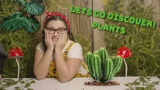 Learn Plants Key Stage 1 - Tiny Treehouse TV Educational Videos