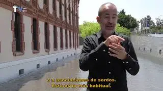 TALKING BRAINS, EXPOSICIÓN 100% ACCESIBLE