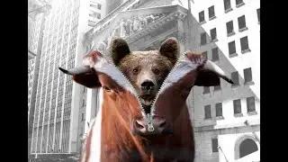 Surviving a Bear Market: Strategies for Protecting Your Portfolio #stockmarket