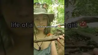 life of a mushroom girl 🍄🥰 #vanlife #mycology #mushrooms #camping