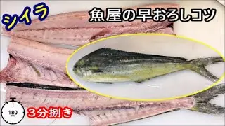 シイラを3分でキレイに捌くコツ、シイラは中骨に身が付きやすいお魚、背骨をキレイに外す魚屋の教える技