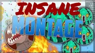 Best Of Agar.io / MONTAGE