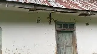 пологовий у селі Стіна, роддом
