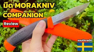 มีด Morakniv Companion