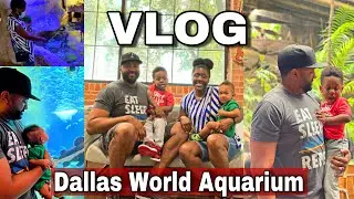 The Dallas World Aquarium | Family Day Out | Vlog