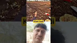 खेती-बाड़ी Kheti badi 🪷🪷🌺#shortsviral #shortvideo #trending #youtubeshorts #Robin reaction#2025