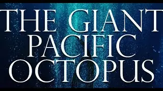 The Giant Pacific Octopus Official Trailer (Final) Coming May 2022