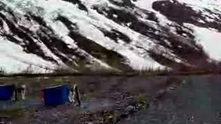 Dog Sled Mushers Camp