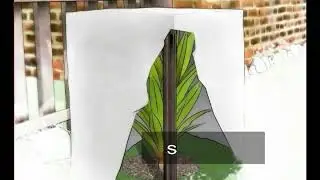 How to Protect Plants from the Cold