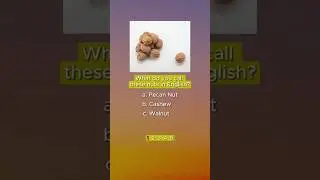 NUTS Name in#english #englishgrammar  #viralvideoshorts