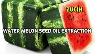 Water Melon Seed oil Extraction : WhatsApp +91 90350 13349