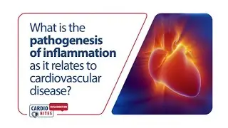 What is the pathogenesis of inflammation as it relates to cardiovascular disease?