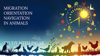 MIGRATION, ORIENTATION AND NAVIGATION- ANIMAL BEHAVIOUR