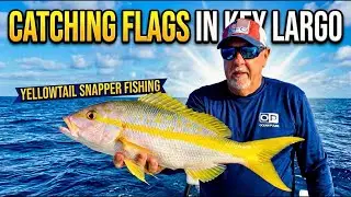 A Tough Day Reef Fishing in Key Largo (Still Found Yellowtails)