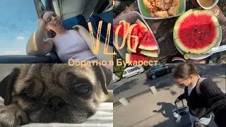 VLOG:Повернення в Бухарест . Наш відпочинок на дачі .Ціни в Бухаресті