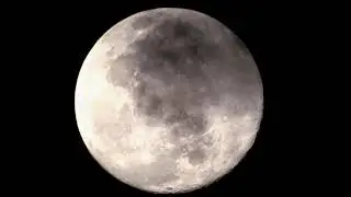 Chill Study | Meditate | Sleep Music | Rain Insects and NIght Noise
