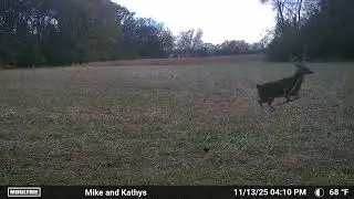 Moultrie trail camera catching the shot on video. 