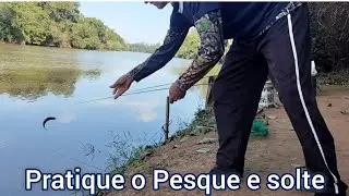 Pesque e solte! Exemplares fora de medida &eacute; Peixe pra vida.