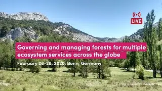 The drivers & outcomes of forest management approaches for multiple services