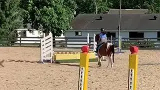 jumping the flower box jump with my horse, klyde ~ June 2020